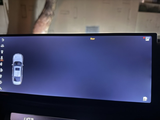 360 app cameras feed going blank - DUDUAUTO